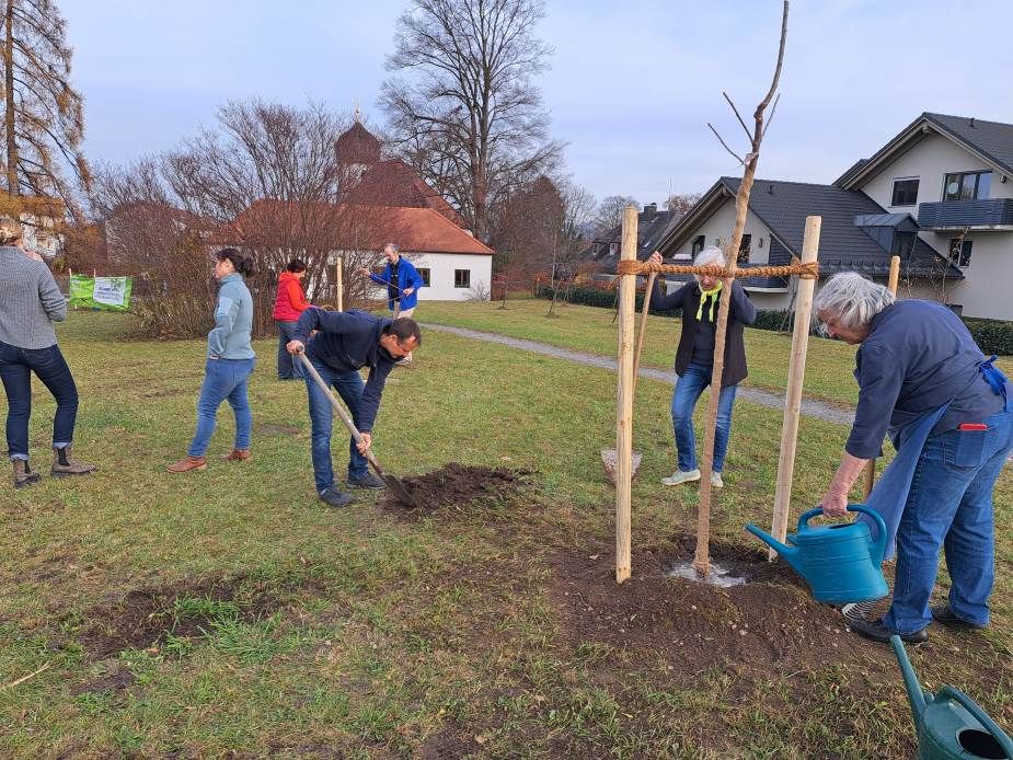 Die frisch gepflanzen Bäume werden gut gewässert. Foto Ingrid Geiersberger Die frisch gepflanzen Bäume werden gut gewässert. Foto Ingrid Geiersberger