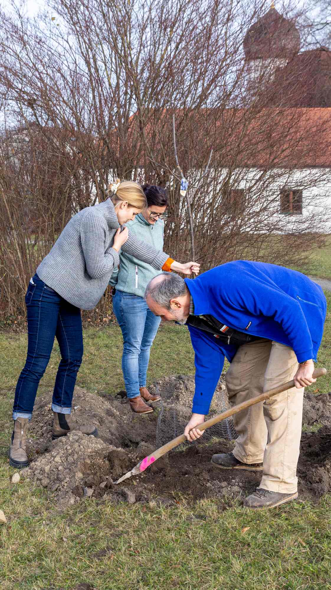 Bis der Baum Zwetschgen trägt dauert es wohl noch ein paar Jahre. Foto Andreas Sauer Bis der Baum Zwetschgen trägt dauert es wohl noch ein paar Jahre. Foto Andreas Sauer