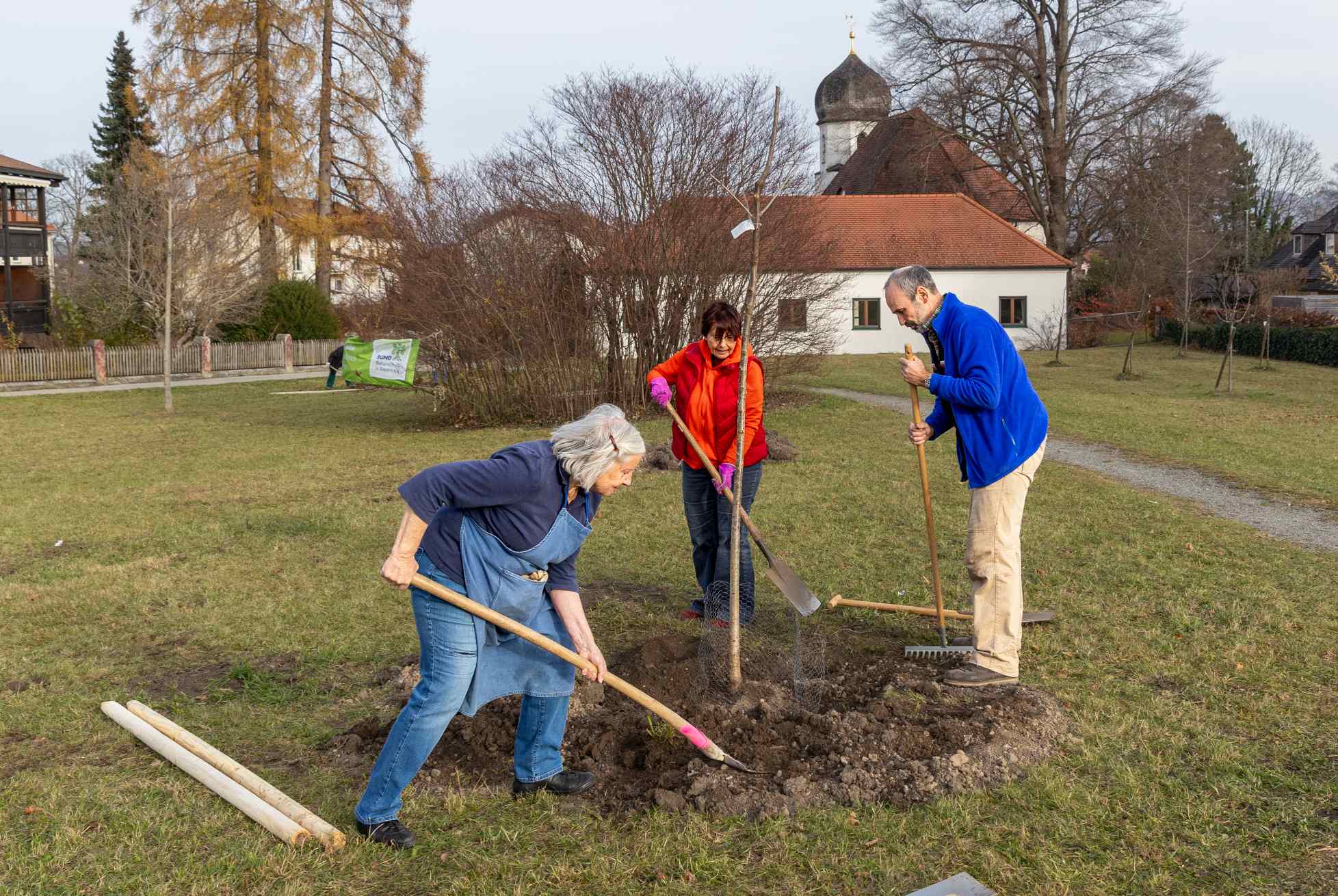 Das Pflanzloch wird in und um den Drahtkorb herum mit Erde aufgefüllt. Foto Andreas Sauer.