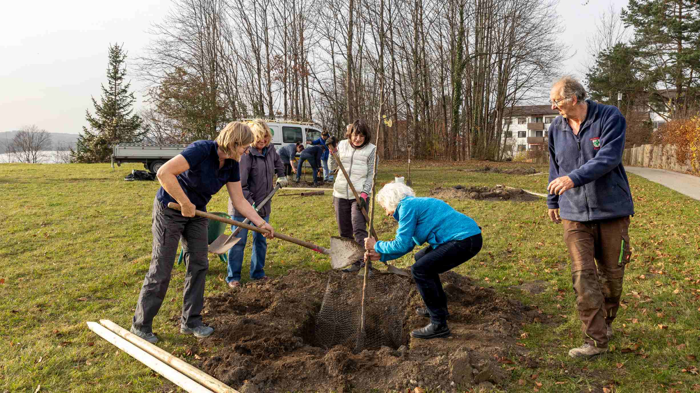 Die Pfropfstelle muss über der Erde bleiben. Foto Andreas Sauer.