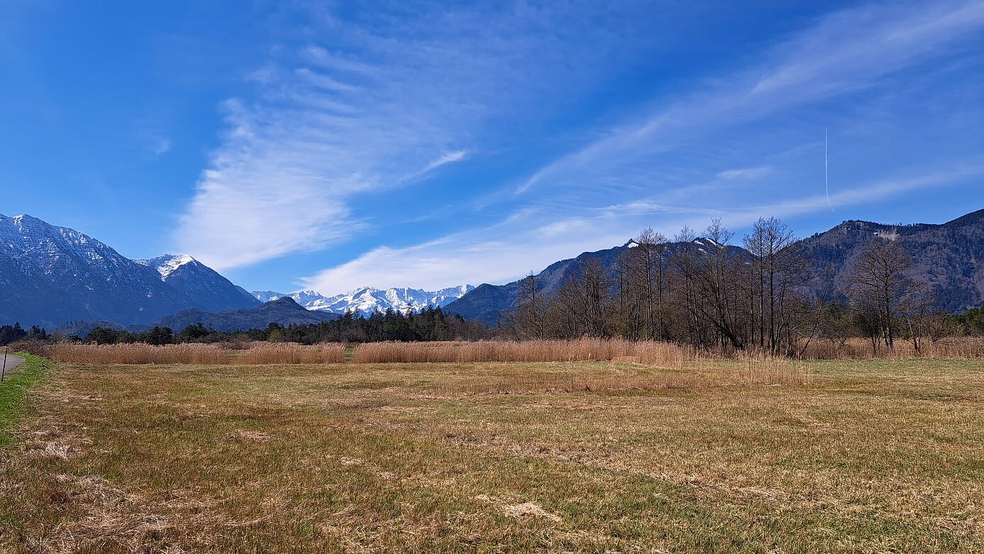 Murnauer Moos. Foto Ingrid Geiersberger